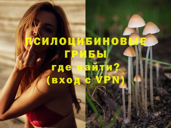 мет Аркадак
