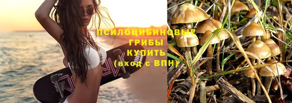 мет Аркадак