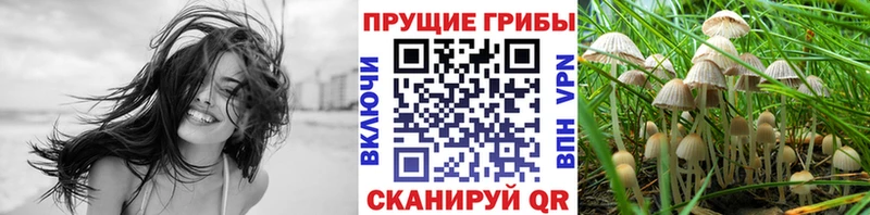 Галлюциногенные грибы мухоморы  цена   Кирс 