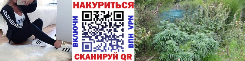 Канабис марихуана  Кирс 